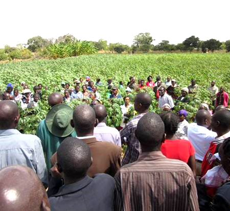 Farmers being trained on benefits of mechanisation